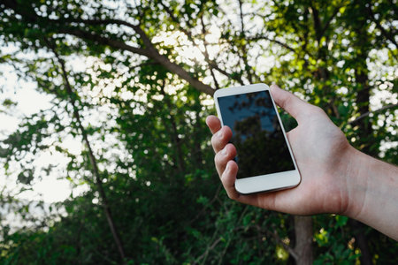 male hand hold white smart phone, cell phone, mobile over blurred image of green forest background.