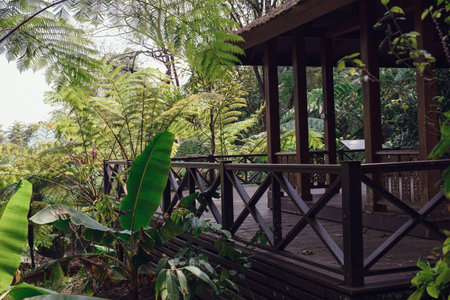 A beautiful exotic garden somewhere in the north of Thailand. Place of rest and tranquilityの写真素材