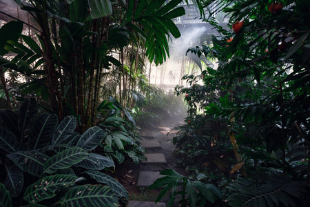 Queen Sirikit Botanical Garden, atmosphere in the nursery of various garden plants, winter flowers...