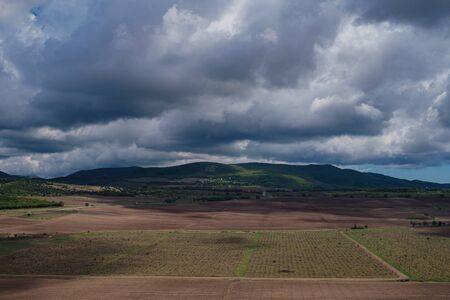 view of the valley with young vineyards, dramatic sky. idea and concept of travel, open borders and freedomの写真素材