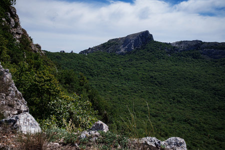 The picturesque landscape of mountains covered by dense green forest with the sea in the background....