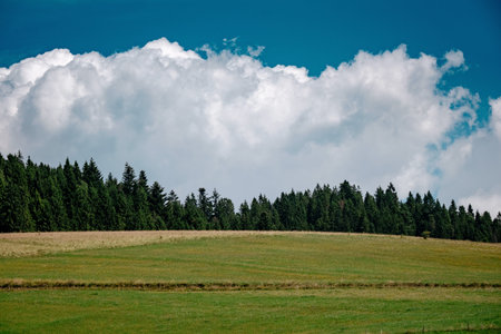 Meadow scenery landscape with blue sky concept. Tatra, border of Poland and Slovakia