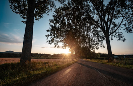 country road at sunset, an alley along a dirt road in the sun. the rays of light, the journeyの写真素材