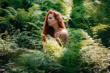 Fantasy Fairy Tale Forest, Fairytale Nature Goddess, Nymph Woman in Mysterious Green fern. idea and concept of Arbor day or Mother earth dayの写真素材