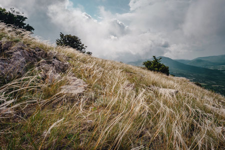feather grass on the slopes of the summer mountains. beautiful dramatic sky with clouds. High hills....