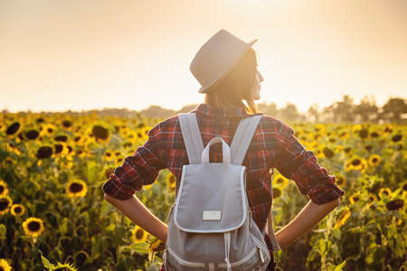 Beautiful young girl enjoying nature on the field of sunflowers. stands back and looks at the sunset,の写真素材