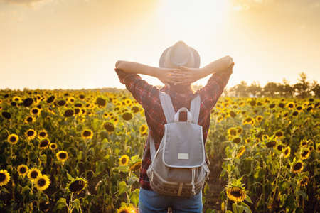 Beautiful young girl enjoying nature on the field of sunflowers. stands back and looks at the sunset, the girl raised her hands in the air, beautiful back sunset light.の写真素材