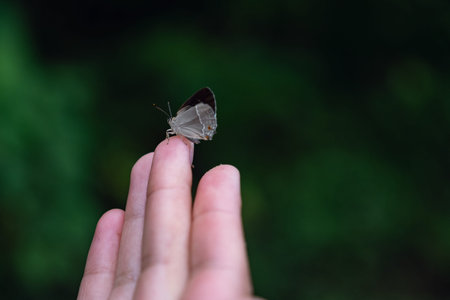 Butterfly sits on a woman hand. Blue, fragile butterfly wings on woman fingers create harmony of...
