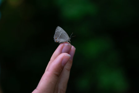Butterfly sits on a woman hand. Blue, fragile butterfly wings on woman fingers create harmony of...