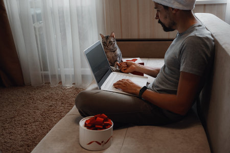 A hipster man with gray cat sitting on a sofa at home at Christmas time. Virtual Christmas house...