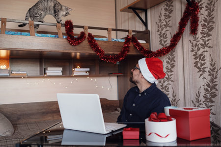 happy young man with funny gray cat at home. Christmas gift boxes, New Year winter sale discount....