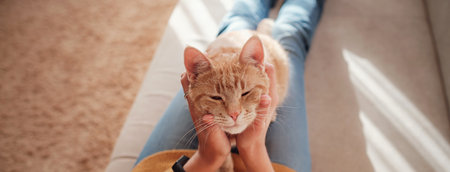Young asian woman resting with pet in sofa at home in sunny. Beautiful ginger tabby cat. Animals and lifestyle concept.の写真素材