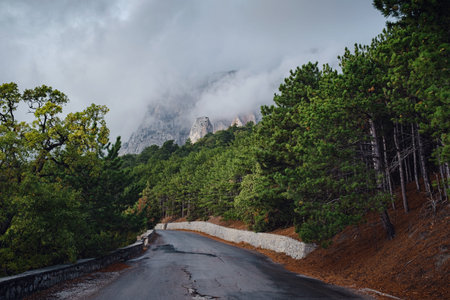 Asphalt road in mounts. Road to the mountains. the idea and concept of freedom, travel and discovery