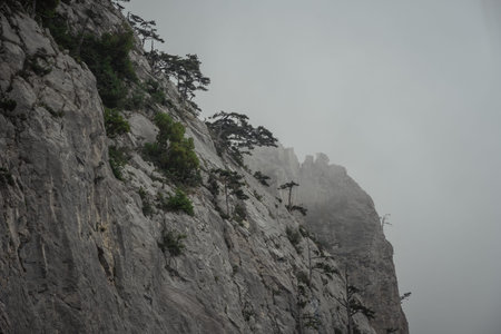 fog and cloud mountain valley landscape, Ukraineの写真素材