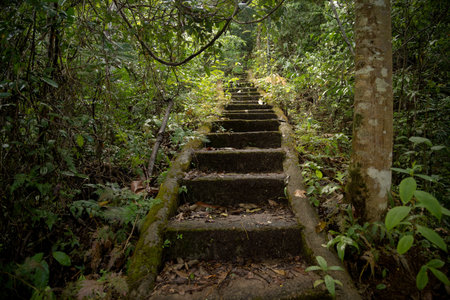 Beautiful old staircase in the jungle of Southeast Asia, Thailand.の写真素材