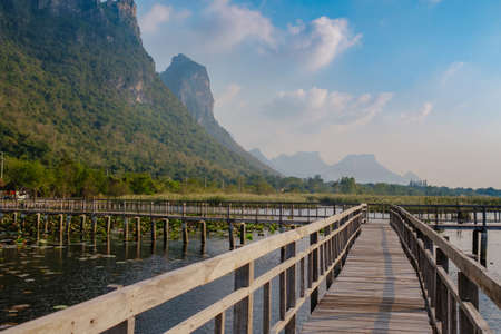 Lotus Lake is a tourist place at sunset. Thailand. Evening on a wooden walkway in the lake, Sam Roi Yod National Parkの写真素材