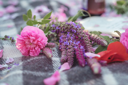 Flower series, free time of summer Provence, books reading at sunset for a bottle of red wine. Valentine's Day. A free place for text or advertisingの写真素材