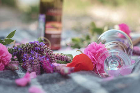 Flower series, free time of summer Provence, books reading at sunset for a bottle of red wine. Valentine's Day. A free place for text or advertisingの写真素材