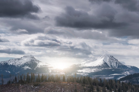 Forest destroyed in South Tyrol, northern Italy. Here's what remained after that the extreme weather damaged the forest around in the night of October 29th 2018. View of the peaks of the Dolomitesの写真素材