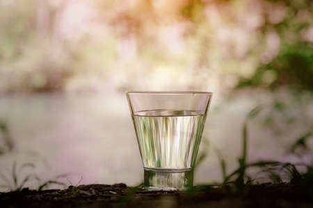 A glass of clean water, on the nature in the forest and river. Concept of a healthy lifestyle and environmental friendlinessの写真素材