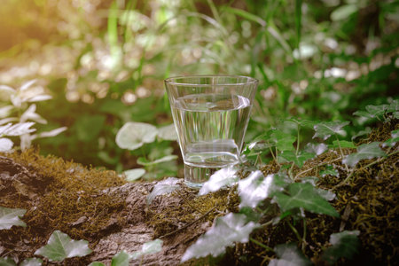 A glass of clean water, on the nature in the forest and river. Concept of a healthy lifestyle and environmental friendlinessの写真素材