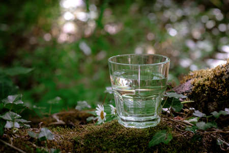 A glass of clean water, on the nature in the forest and river. Concept of a healthy lifestyle and environmental friendlinessの写真素材