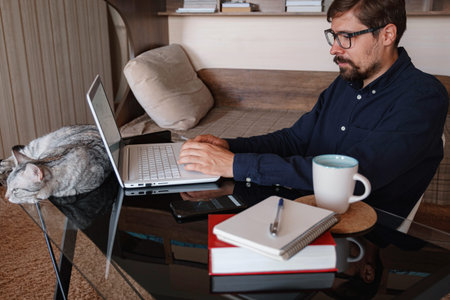 Young bearded businessman sits in home office at table and uses laptop, next sits gray cat. On table...