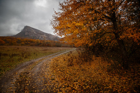 the mountain autumn landscape with colorful forest. cloudy autumn weather, heavy leaden sky and bright yellow forest at the foot of the mountainsの写真素材