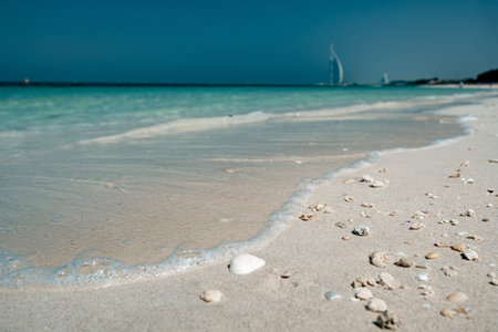 view on seashells on beach near sea, idea and concept of a beach holiday