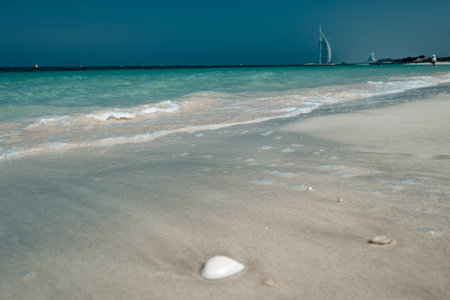 view on seashells on beach near sea, idea and concept of a beach holiday