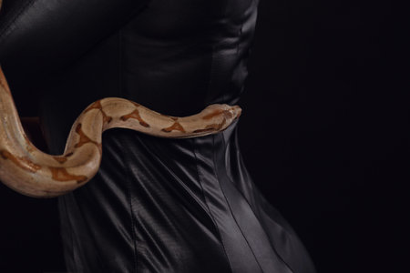 Close up portrait of sexy woman with snake in latex outfit. Redhair model with fashion make up....