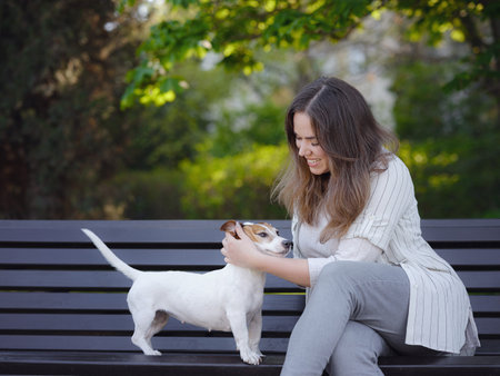 Young woman with her cute Jack Russell Terrier outdoor. Lovely pet. A nice spring evening walk in a...