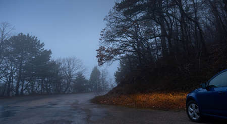 blue car headlight beams in dense mist. Driving in the Fog on the mountain road in the forest.の写真素材