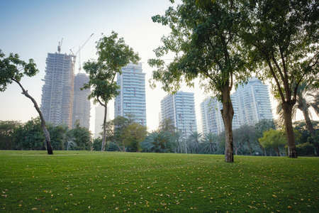 Alley with green lawn and trees in the Zabeel park, Dubai, UAE. View of the modern Dubai skyline from the approach highway to the Zabeel Palace, Dubai, United Arab Emiratesの写真素材