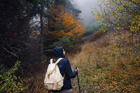 young man traveler in autumn misty nature. rear view. concept active healthy lifestyle, adventure...