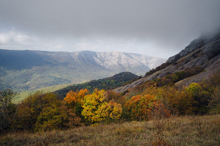Majestic morning mountain landscape with colorful forest and cloudy sky. foggy autumn on the mountain slopesの写真素材