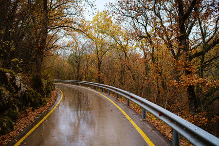 landscape autumn season in rainy day Travel and yellow leaves. Transportation. Empty highway in...