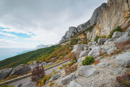 Asphalt road in a summer forest on a cloudy day. Crimean mountains