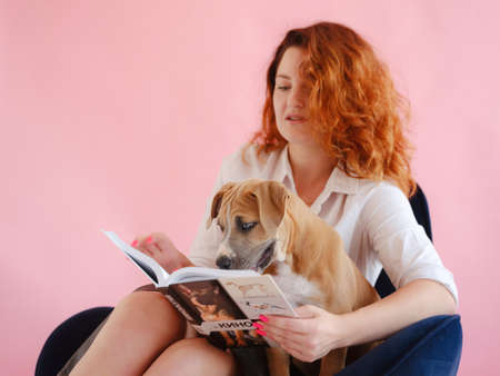 beautiful redhead woman with Cute puppy American Staffordshire Terrier read a book in studio over pink background. Concept of care, education, obedience training, raising petsの写真素材