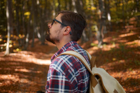 Caucasian hipster male model outdoors in nature. Colorful landscape with trees, rural road, orange and red leaves, sun in autumn.の写真素材