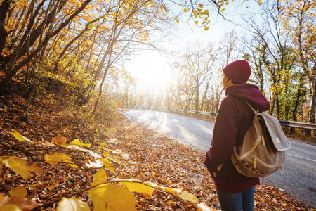 Lonely Woman Walking Away into the Autumn Forest. walking at the fall nature. Freedom of movement...