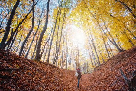 man in autumn woods, fantasy forest landscape. man wearing backpack standing on autumn forest trail,...
