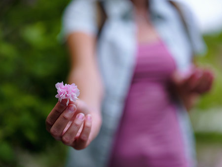 Blooming sakura tree, pink sakura flower in hands of woman, atmosphere of unity with nature,...