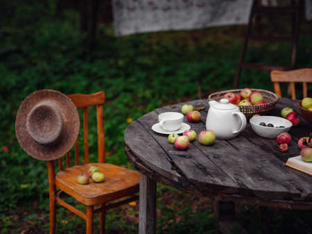 beautiful autumn still life in apple orchard, old wooden table with mug and teapot, apples and plums, open book, idea and concept of harvesting, abundance and autumn lifestyleの写真素材