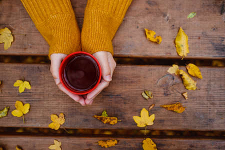 cup of hot tea in female hands holding it on wooden table autumn background with leaves. Warm drink concept.の写真素材
