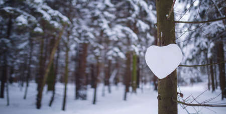 Winter in spruce forest, spruces covered with white fluffy snow. ski resort. Great view of wilderness. Explore beauty of land. heart made of snow on tree, valentine's day conceptの写真素材