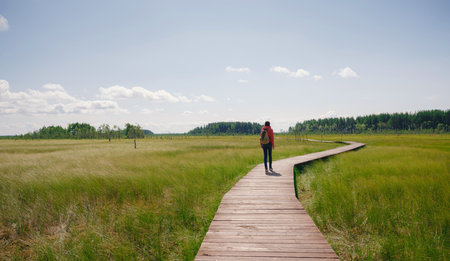 trip to central Russia, St. Petersburg, ecotrail Sestroretsky swamps. regenerative travel concept. Young woman hiking and camping in nature. backpack walking in green forestの写真素材