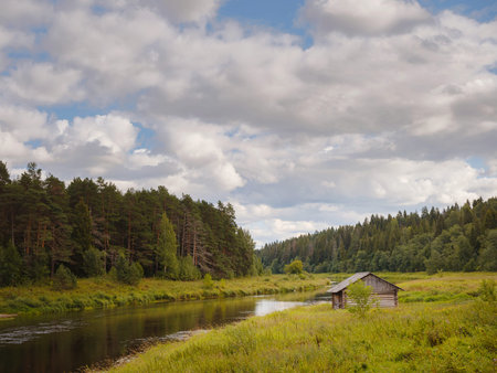 beautiful Central Russian forest in summer or spring season near Tvertsa river
