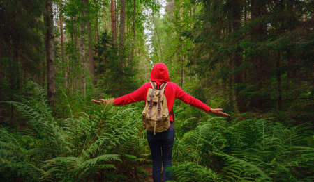 journey in summer Russia, Komarovo village, ecological trail Komarovsky coast. Woman from behind relaxing in park trail hike. Route walkways laid out in the forest, in Kurortny District of St. Petersburgの写真素材