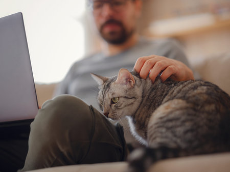 Working at home with pet gray cat. Man works from home typing on laptop. remote work.